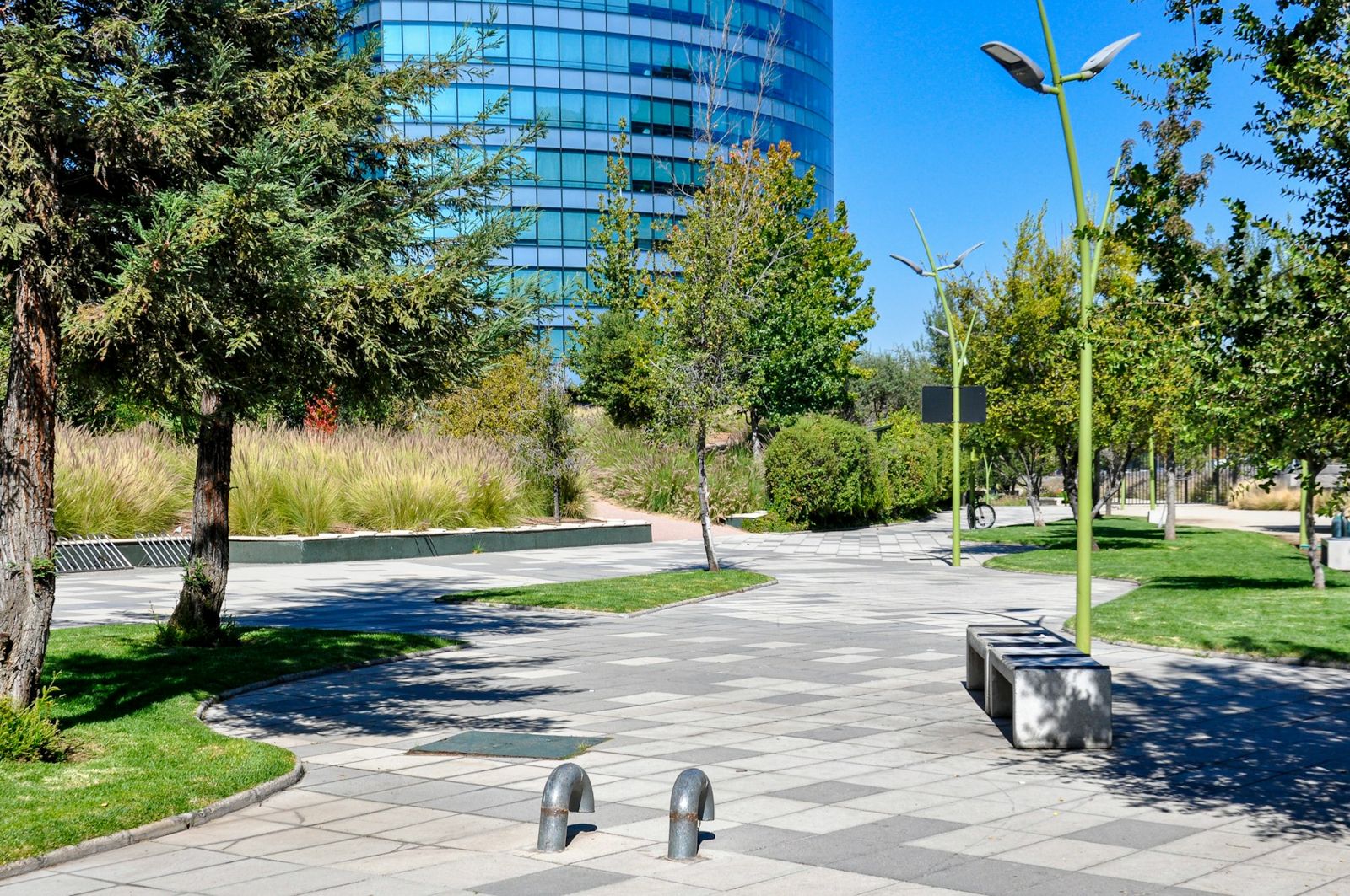 Office campus with mature trees and trimmed lawns